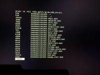 IMG_4209 Large.jpeg