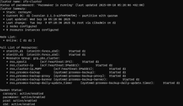 PBS-Cluster-status.png