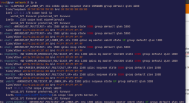 ip-a-output.png