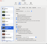 A screnshot showing Terminal options in Mac OS X. A screnshot showing Terminal options in Mac OS X.