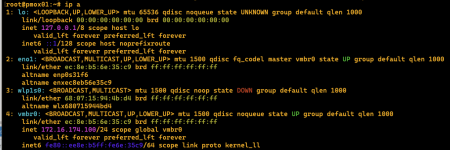 proxmox_ip.png