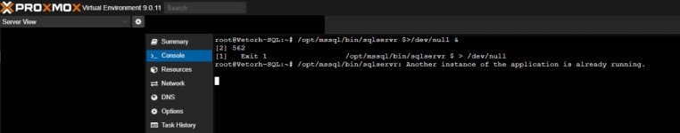 Imagem do WhatsApp de 2025-11-13 à(s) 15.12.57_05fe03e2.jpg