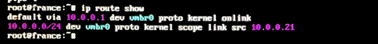 IMG_0964.jpeg IMG_0964.jpeg