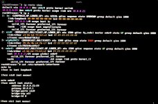 IMG_0965.jpeg IMG_0965.jpeg