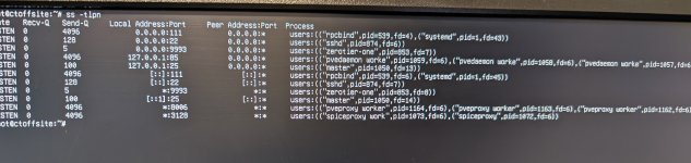 PXL_20260212_054251413.MP - Copy.jpg