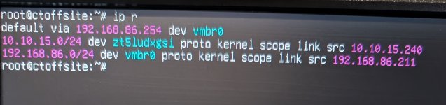 PXL_20260212_063537070.MP - Copy.jpg