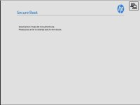 Immagine 2026-02-13 155616.jpg Immagine 2026-02-13 155616.jpg