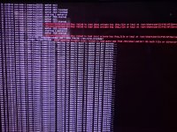 WhatsApp Image 2026-03-31 at 13.59.51.jpeg