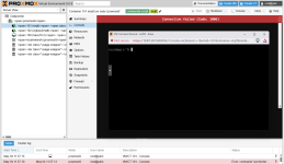 PMOX lxc Console w VNC.png