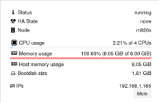 NAS_VM_RAM_neu.png