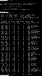 NASVM_slabtop.png