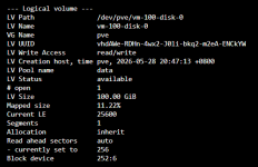vm-100-disk-0.png