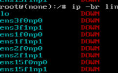 1782401369195.png