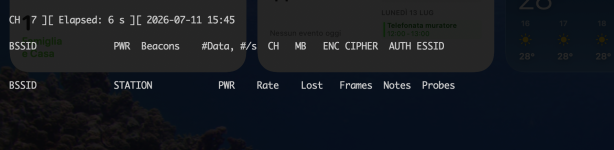 Screenshot 2026-07-11 alle 15.45.11.png